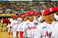 Aguilas 2015-7