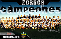 Zorros campeones premier