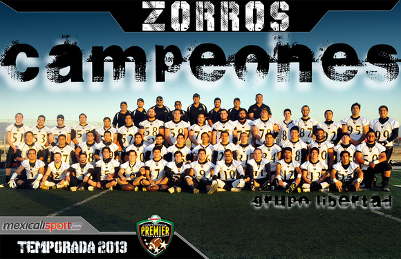 Zorros campeones premier