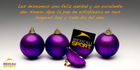 Navidad www.mexicalisport.com