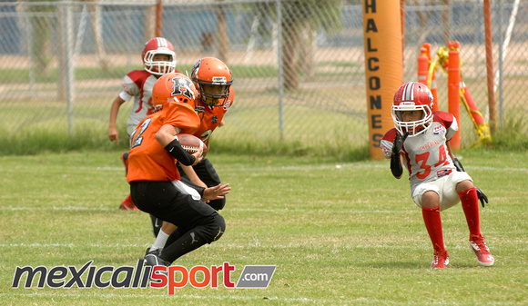 HALCONES DE MEXICALI_41 (2)