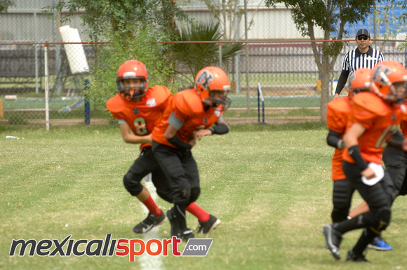 HALCONES DE MEXICALI_48 (3)