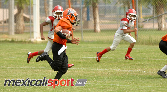 HALCONES DE MEXICALI_37 (2)