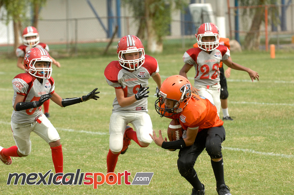 HALCONES DE MEXICALI_52 (3)