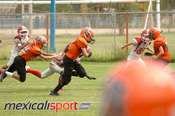 HALCONES DE MEXICALI_43 (2)