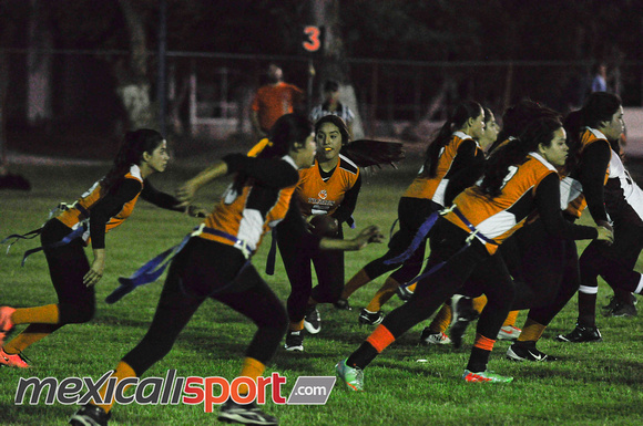 Tigres vs Leonas Final Copa halcones (221 de 178)