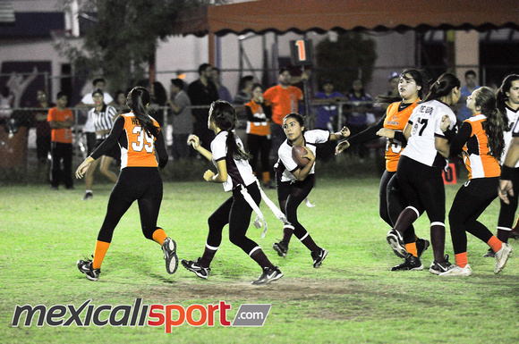 Tigres vs Leonas Final Copa halcones (246 de 178)