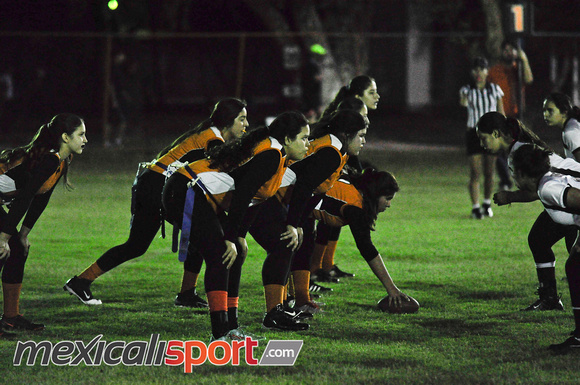 Tigres vs Leonas Final Copa halcones (218 de 178)