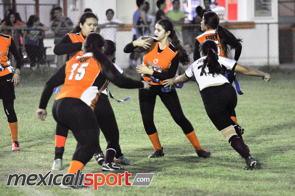 Tigres vs Leonas Final Copa halcones (111 de 178)