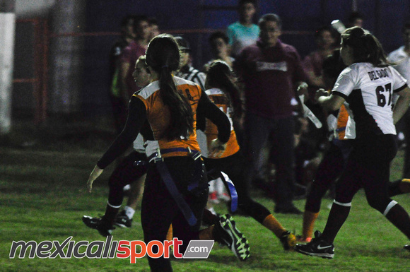 Tigres vs Leonas Final Copa halconess (94 de 178)