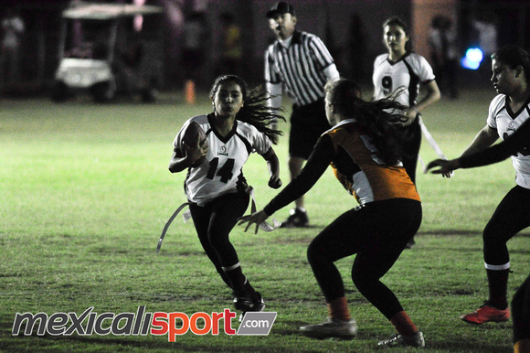 Tigres vs Leonas Final Copa halcones (208 de 178)
