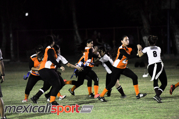 Tigres vs Leonas Final Copa halcones (161 de 178)