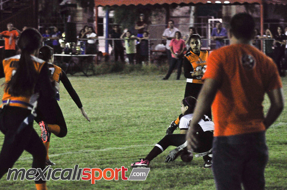 Tigres vs Leonas Final Copa halconess (137 de 178)