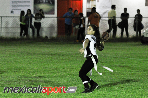 Tigres vs Leonas Final Copa halcones (177 de 178)