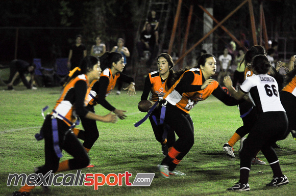 Tigres vs Leonas Final Copa halcones (223 de 178)