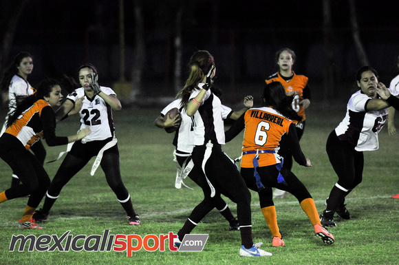 Tigres vs Leonas Final Copa halcones (123 de 178)